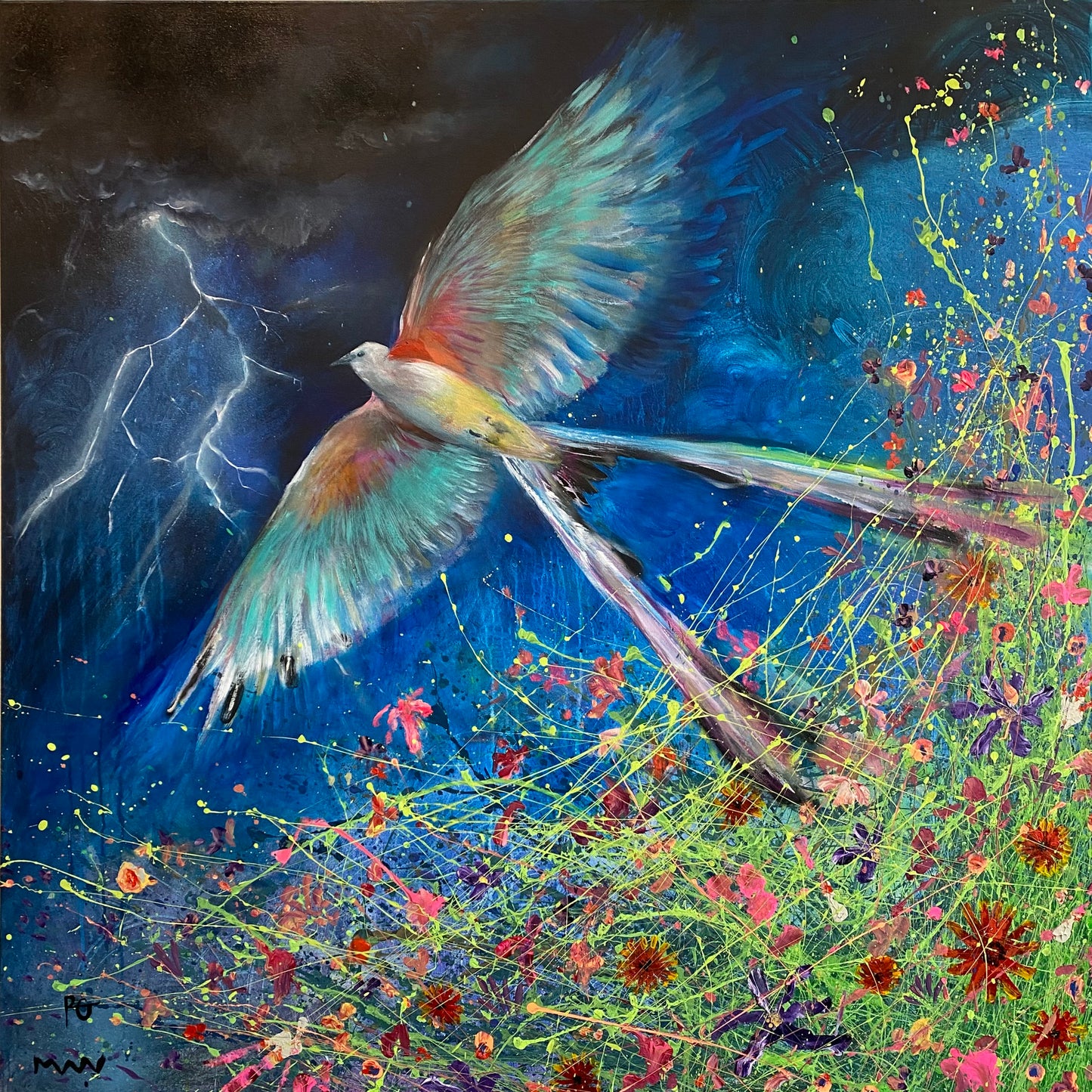Scissortail of Night